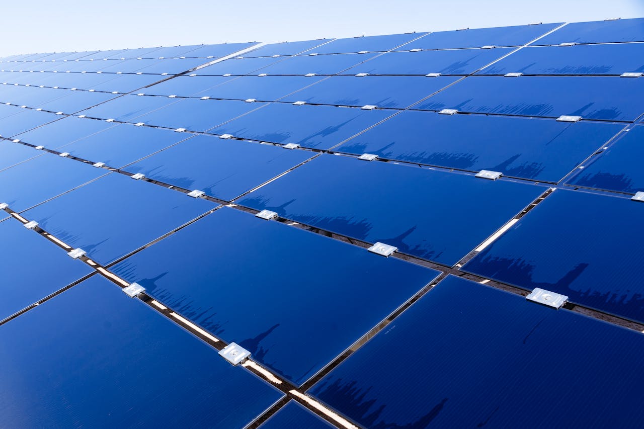 Wide view of solar panels under clear sky, showcasing renewable energy technology.